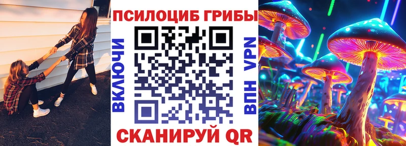 Псилоцибиновые грибы Cubensis Люберцы